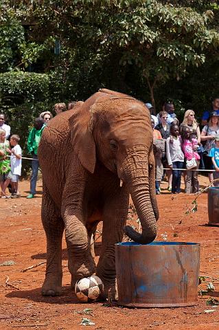 008 Kenia, Nairobi, Sheldrick Olifantenweeshuis.jpg